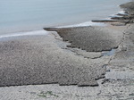 SX05228 Patterns in tidal rocks.jpg
